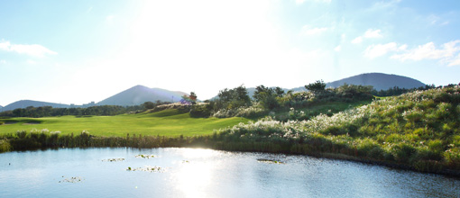 플라자cc 제주 사진